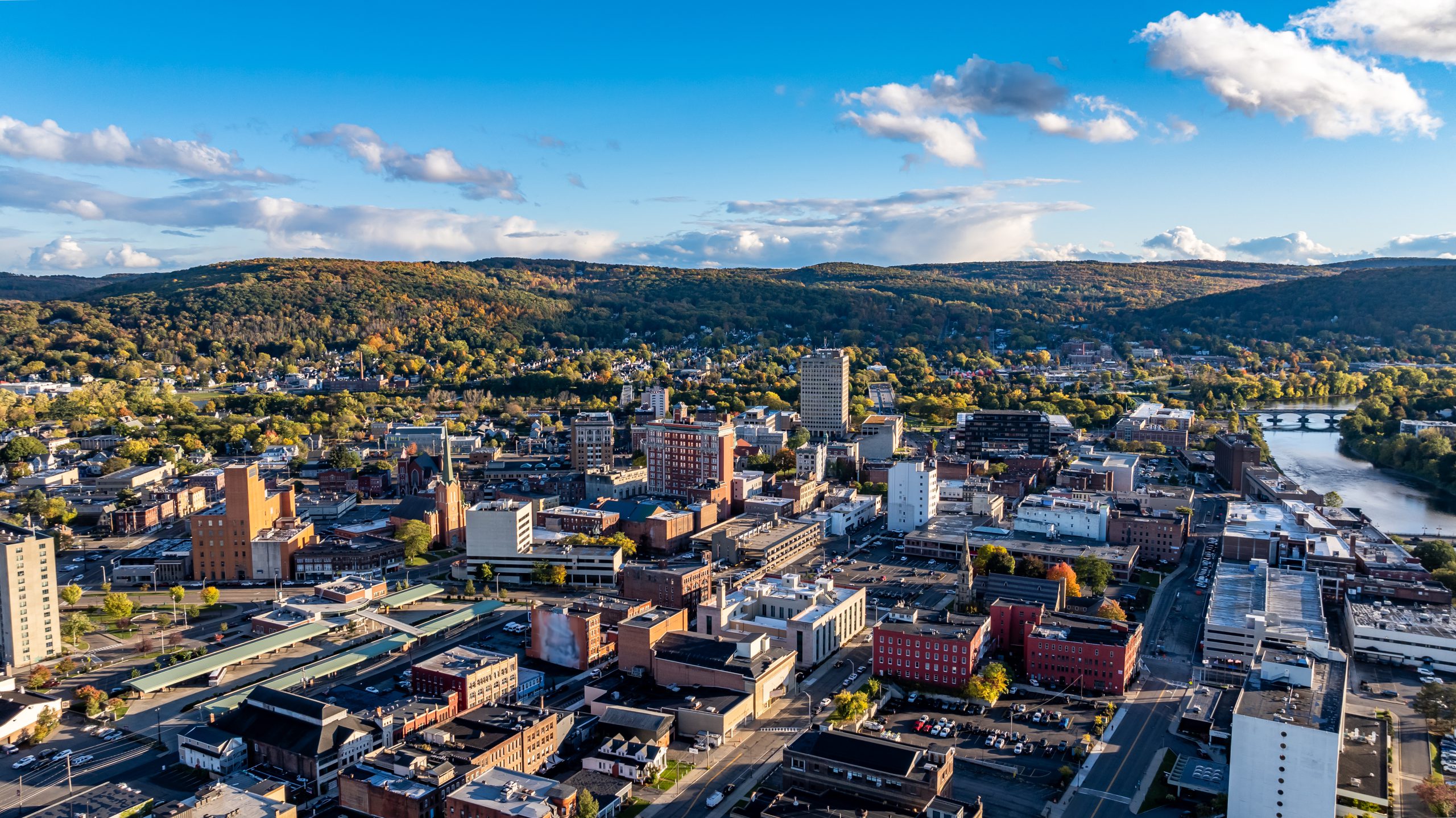 Binghamton endodontist