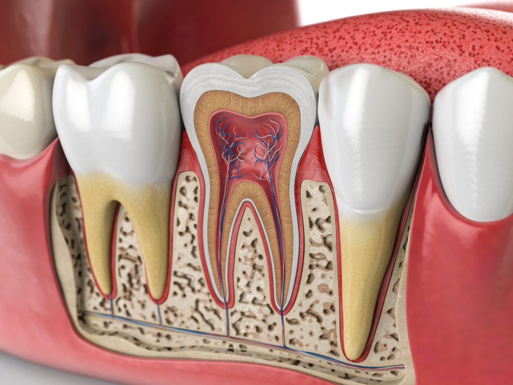 Root Canal Retreatment in Dunmore
